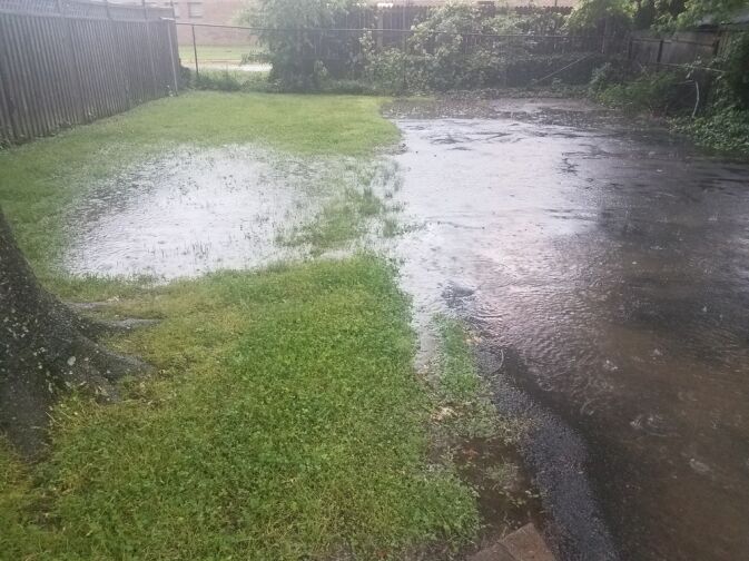A backyard with standing water and minor flooding covering the grass and part of a paved area after heavy rain.