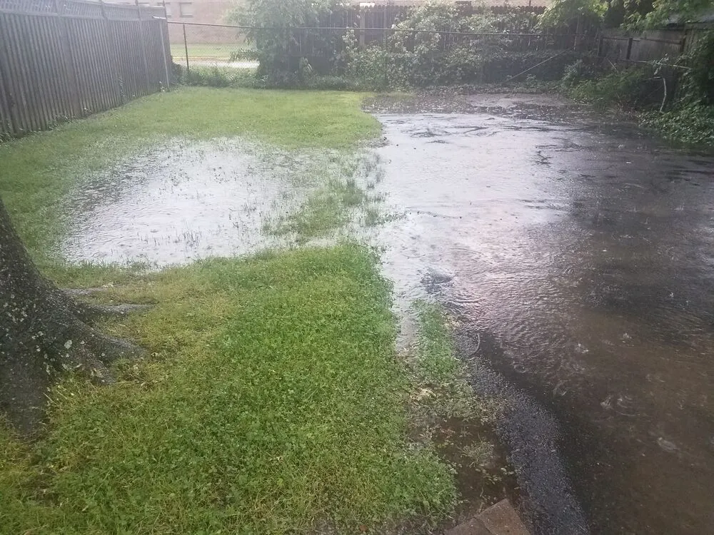 A backyard with standing water and minor flooding covering the grass and part of a paved area after heavy rain.