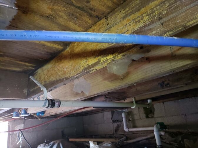 Exposed wooden joists with visible water stains, peeling paint, and various pipes running beneath in an unfinished basement area.